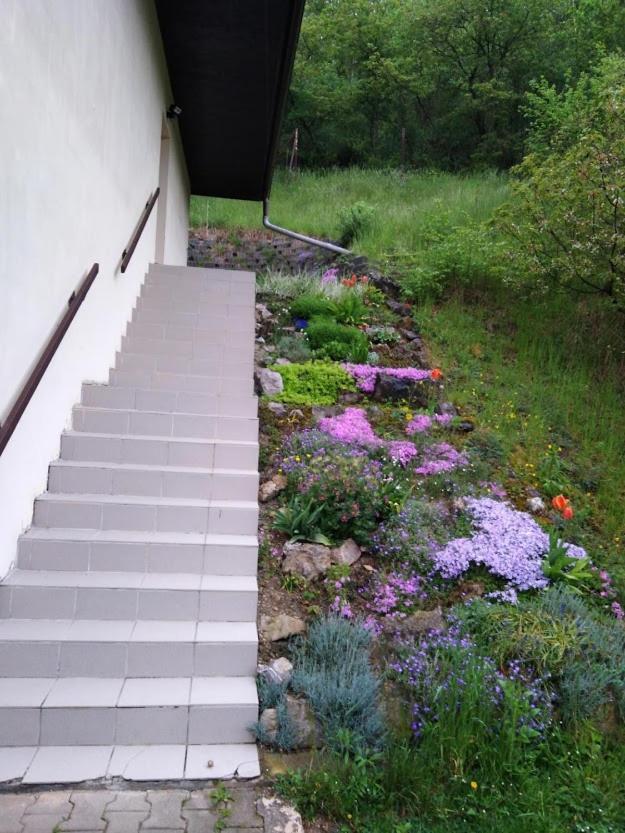 Penzion Lida Srbsko Exterior foto